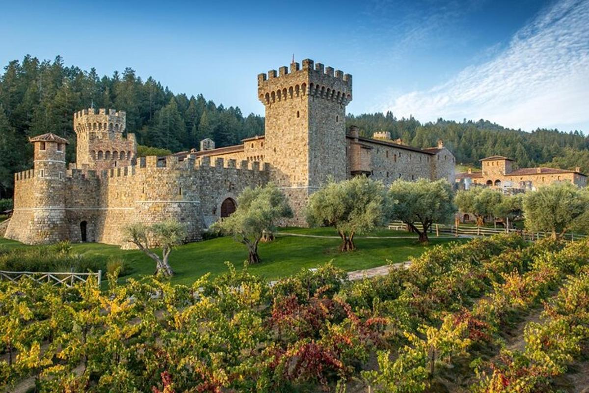 ein großes Schloss mit Bäumen davor