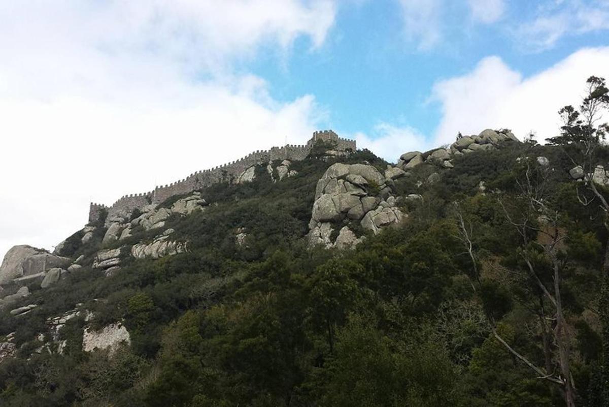 ένα βραχώδες βουνό με δέντρα στην κορυφή του