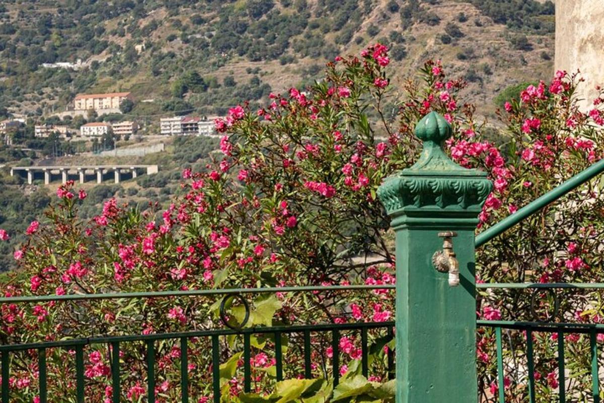 un palo verde con fiori rosa su una recinzione
