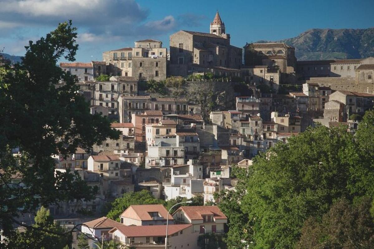 un gruppo di edifici su una collina con case