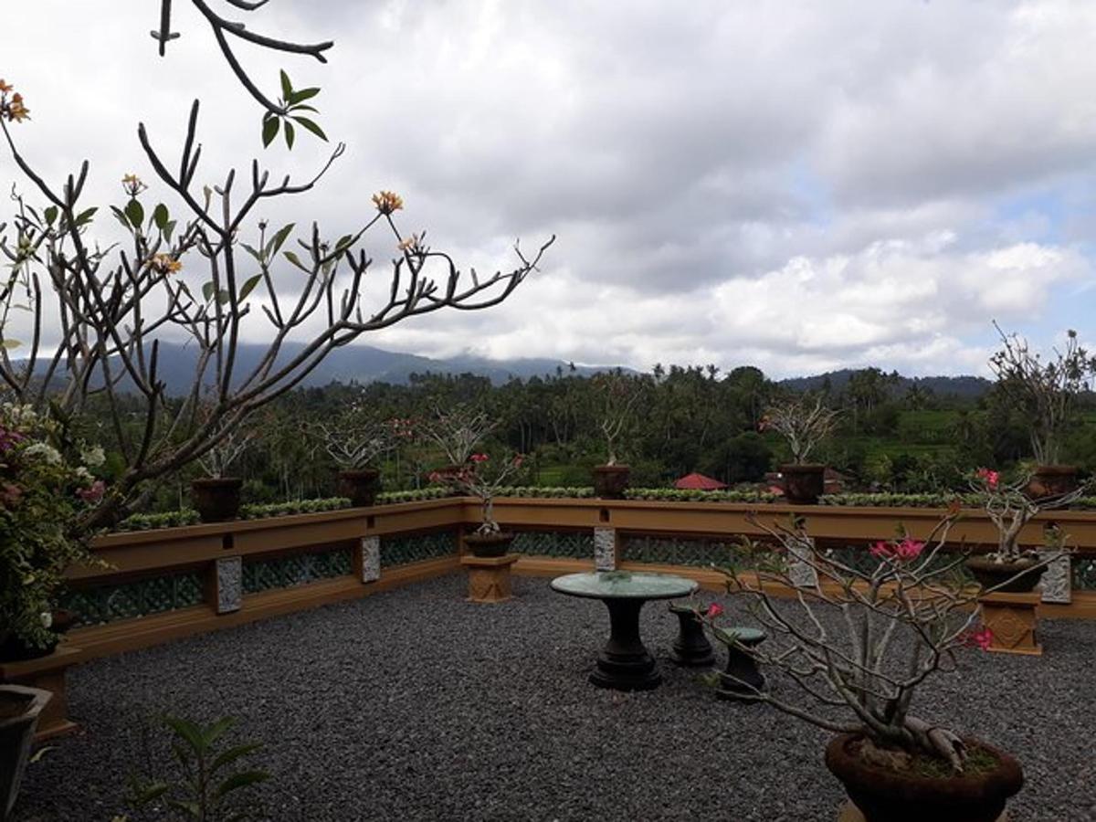 un patio con piante in vaso e un tavolo su una staccionata