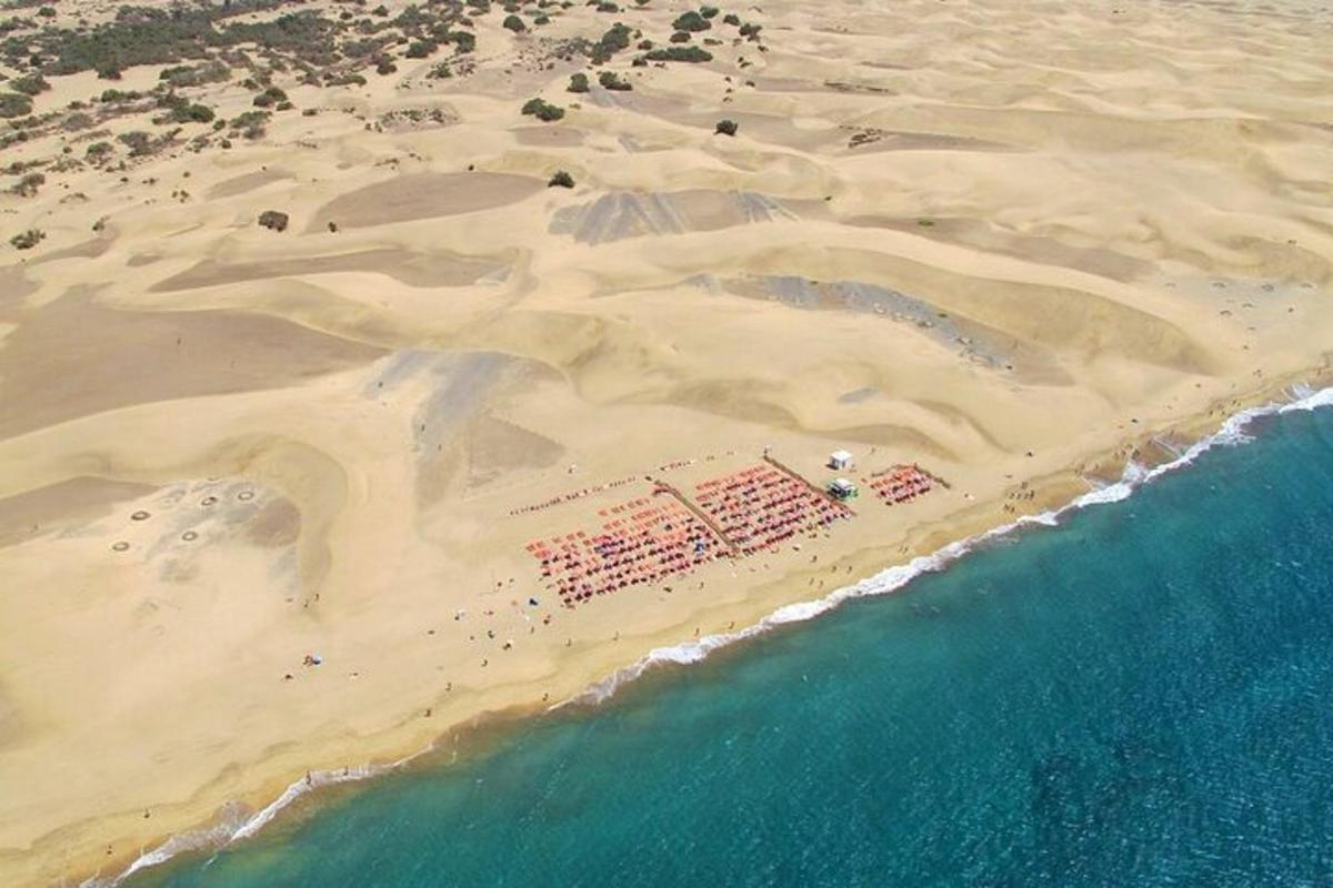 una vista aérea de una playa con el océano