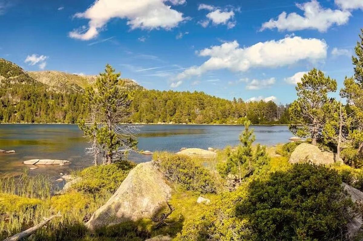 pohled na jezero se stromy a kameny