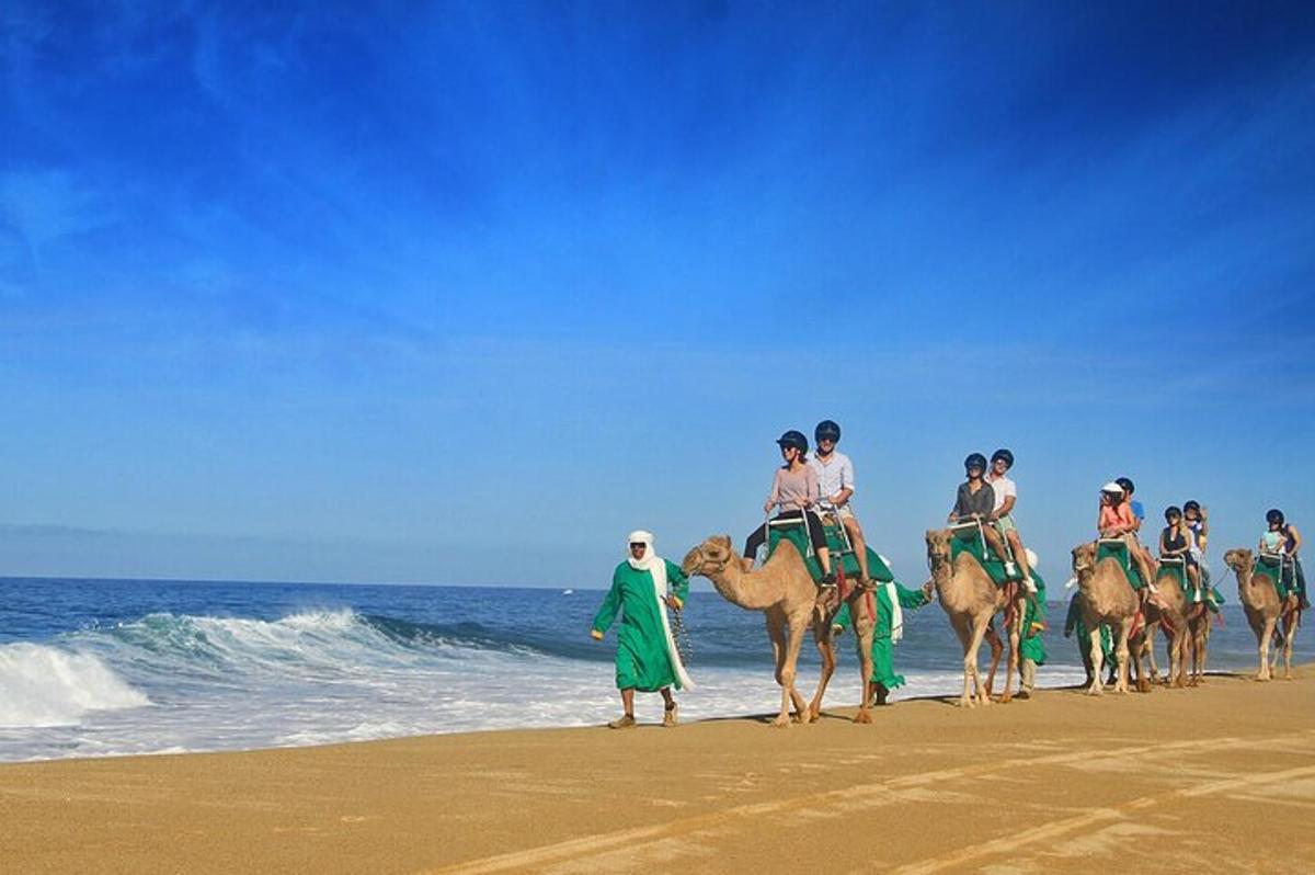 skupina ljudi, ki jahajo kamele na plaži