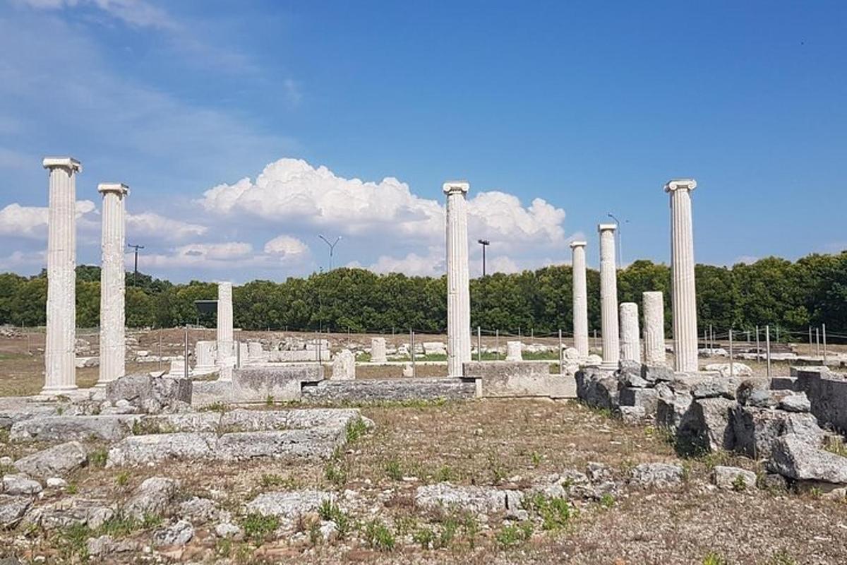 un gruppo di colonne in un campo con alberi