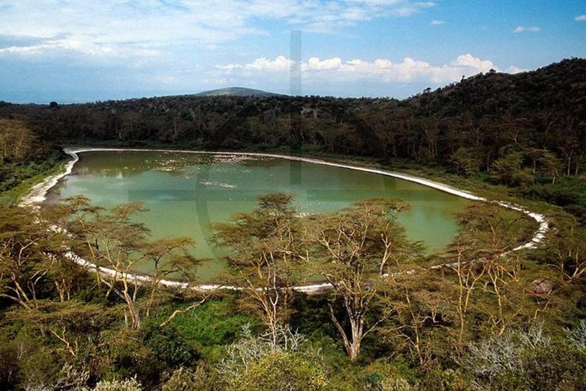 une vue aérienne d'un lac au milieu d'une forêt
