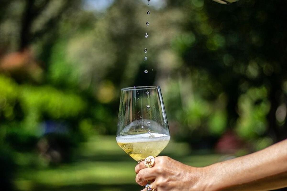 oseba drži kozarec vina