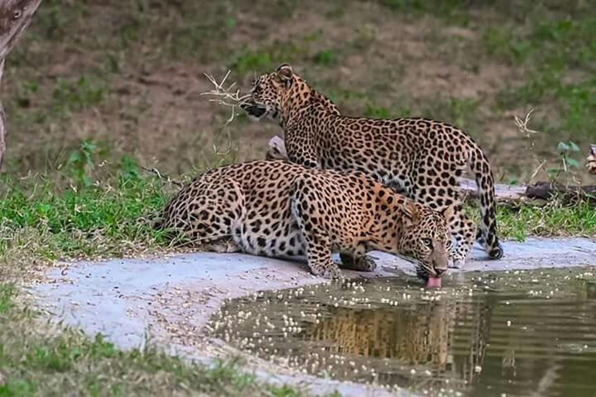 Fotografia da atração 1