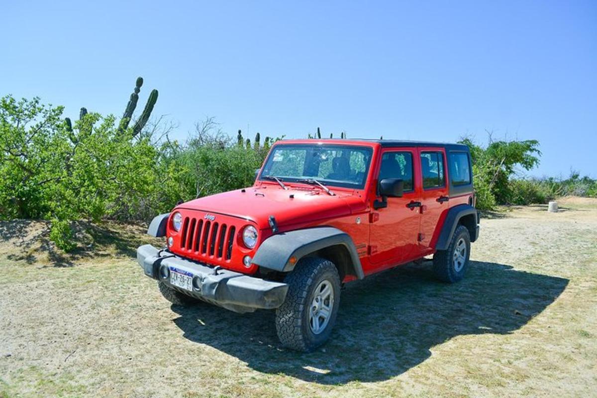 Un jeep rojo estacionado encima de un campo