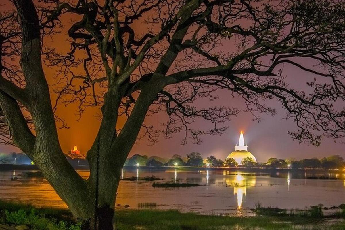 a tree with a building in the middle of a lake