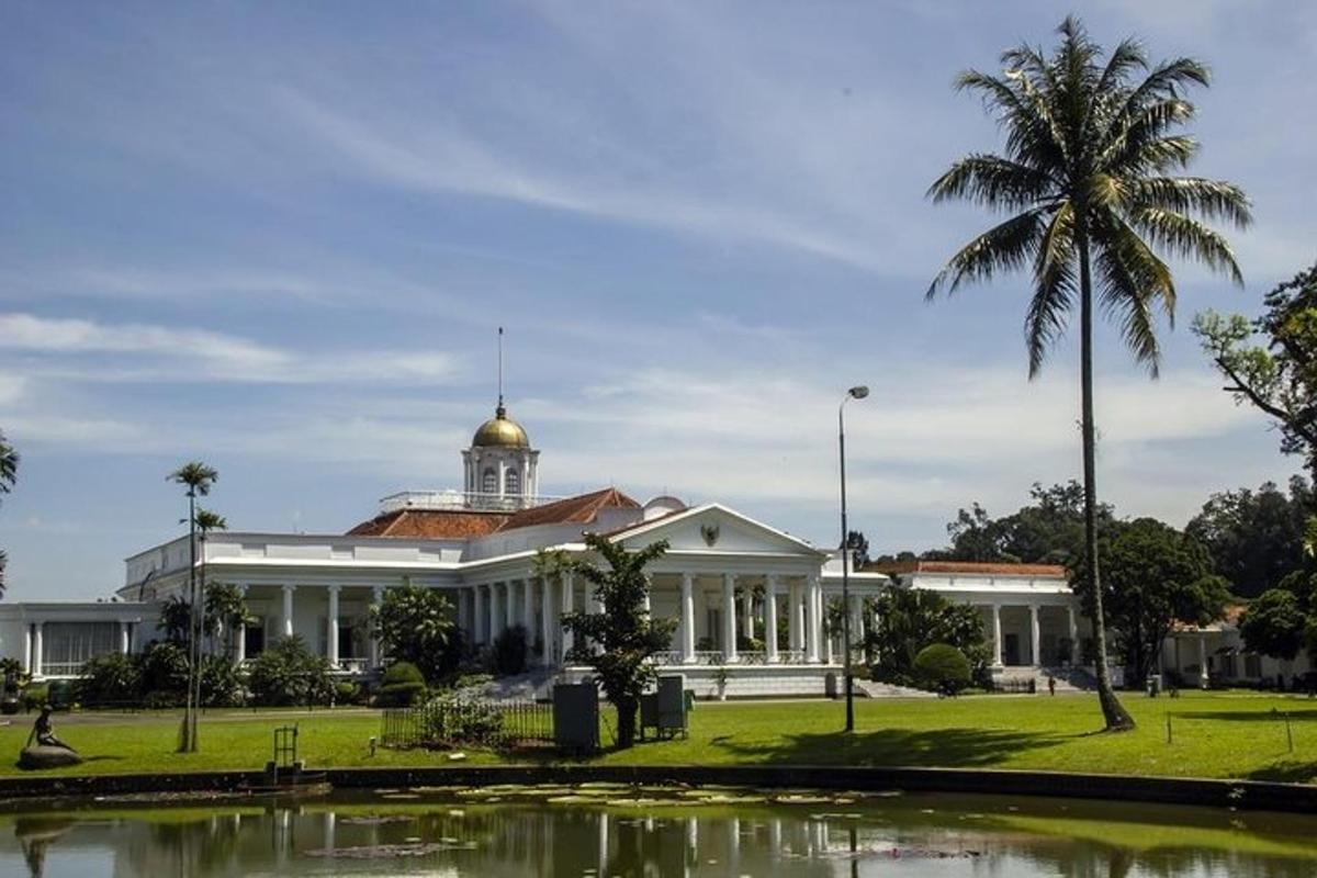 a large white building with a palm tree and a pond