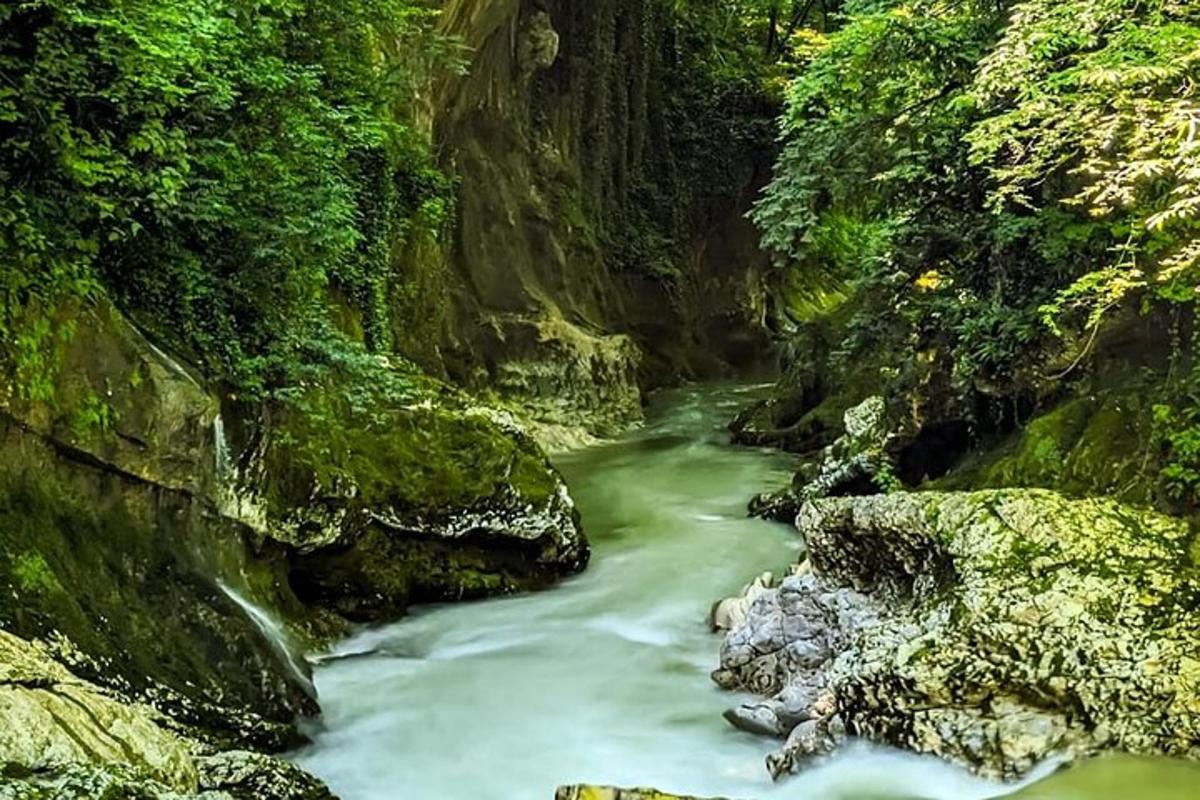 Fotografia 6 a atracției