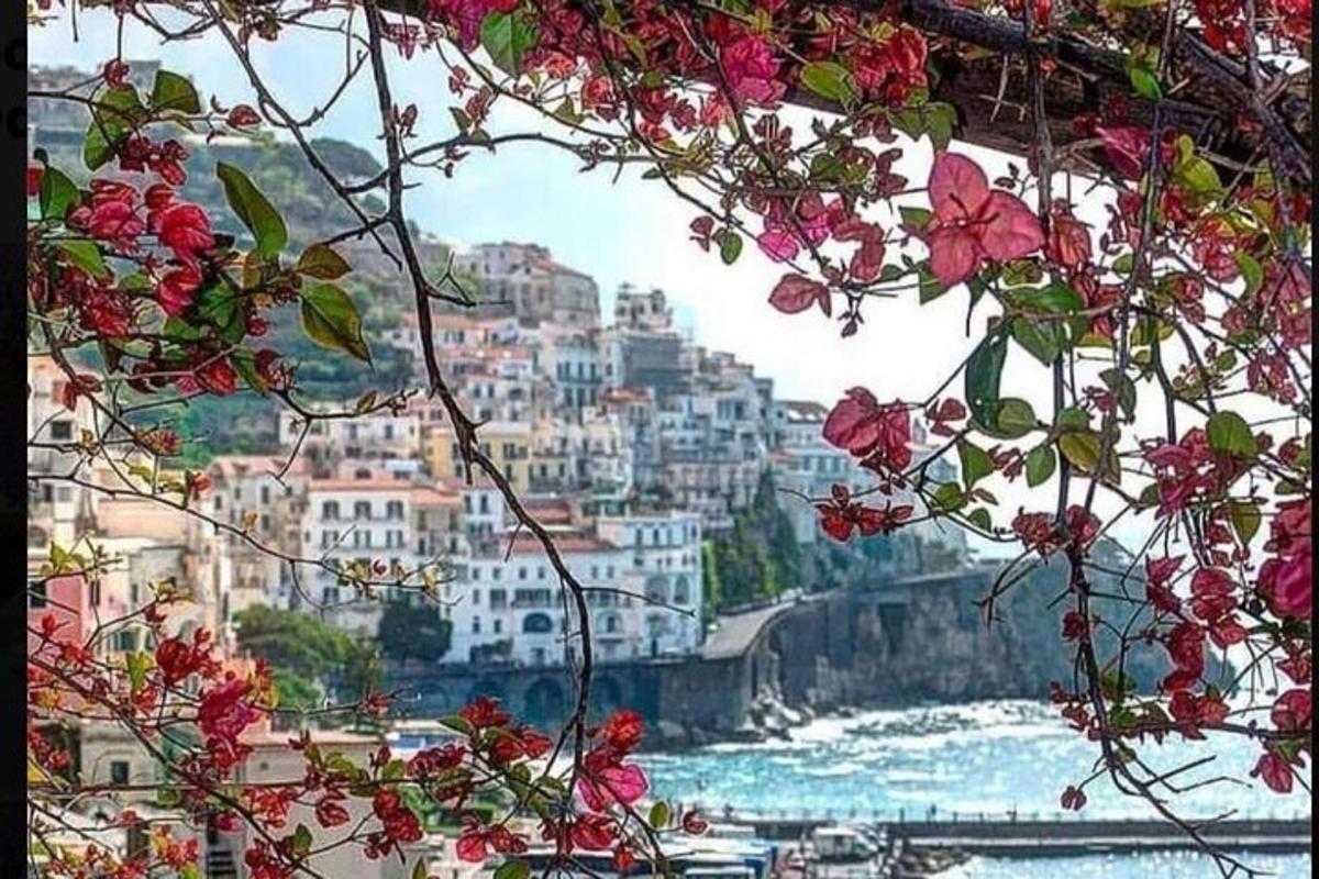 una vista di una città con fiori rosa