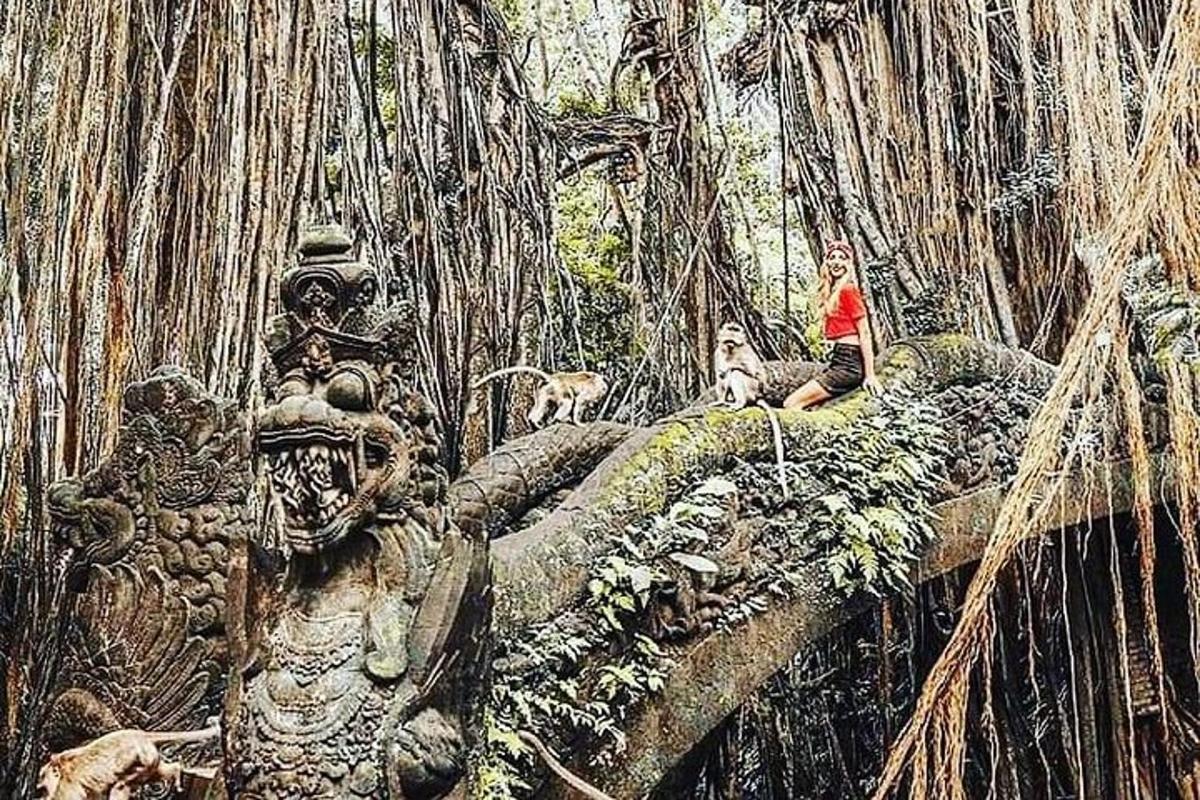 a woman and two dogs sitting on a tree stump