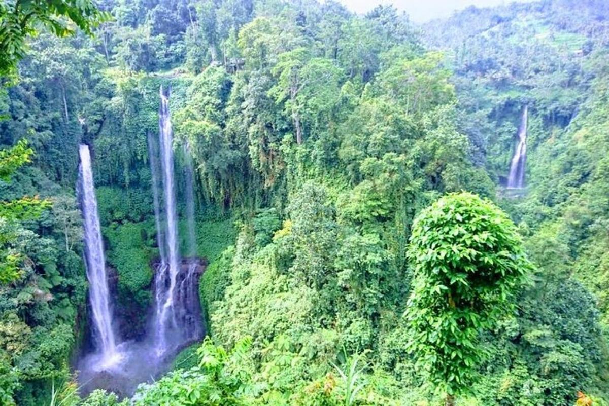 un gruppo di cascate nel mezzo di una foresta