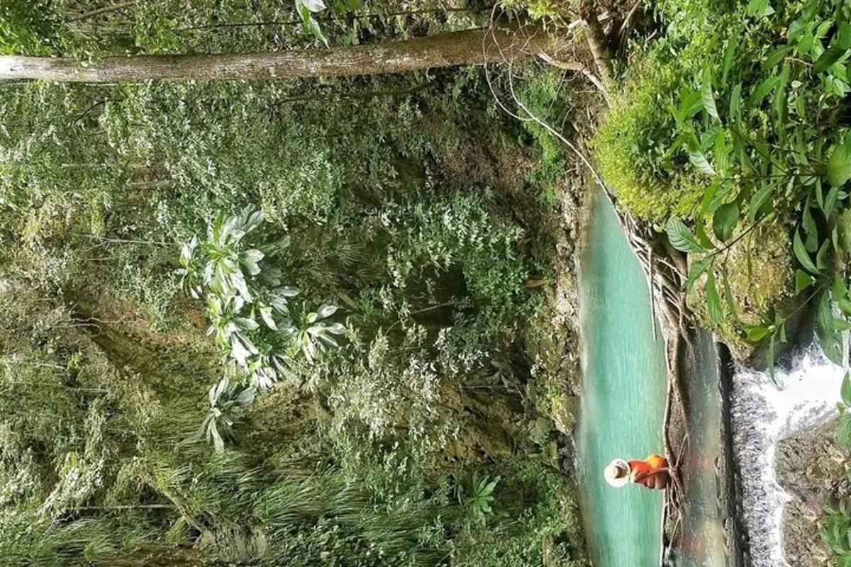 pogled od zgoraj na drevo in vodno telo
