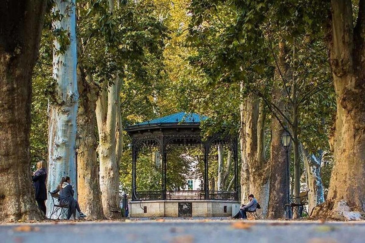 a park with a gazebo in the middle of trees