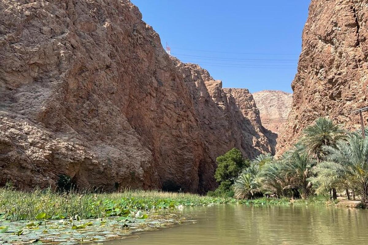 نهر في وادٍ مليء بأشجار النخيل والجبال