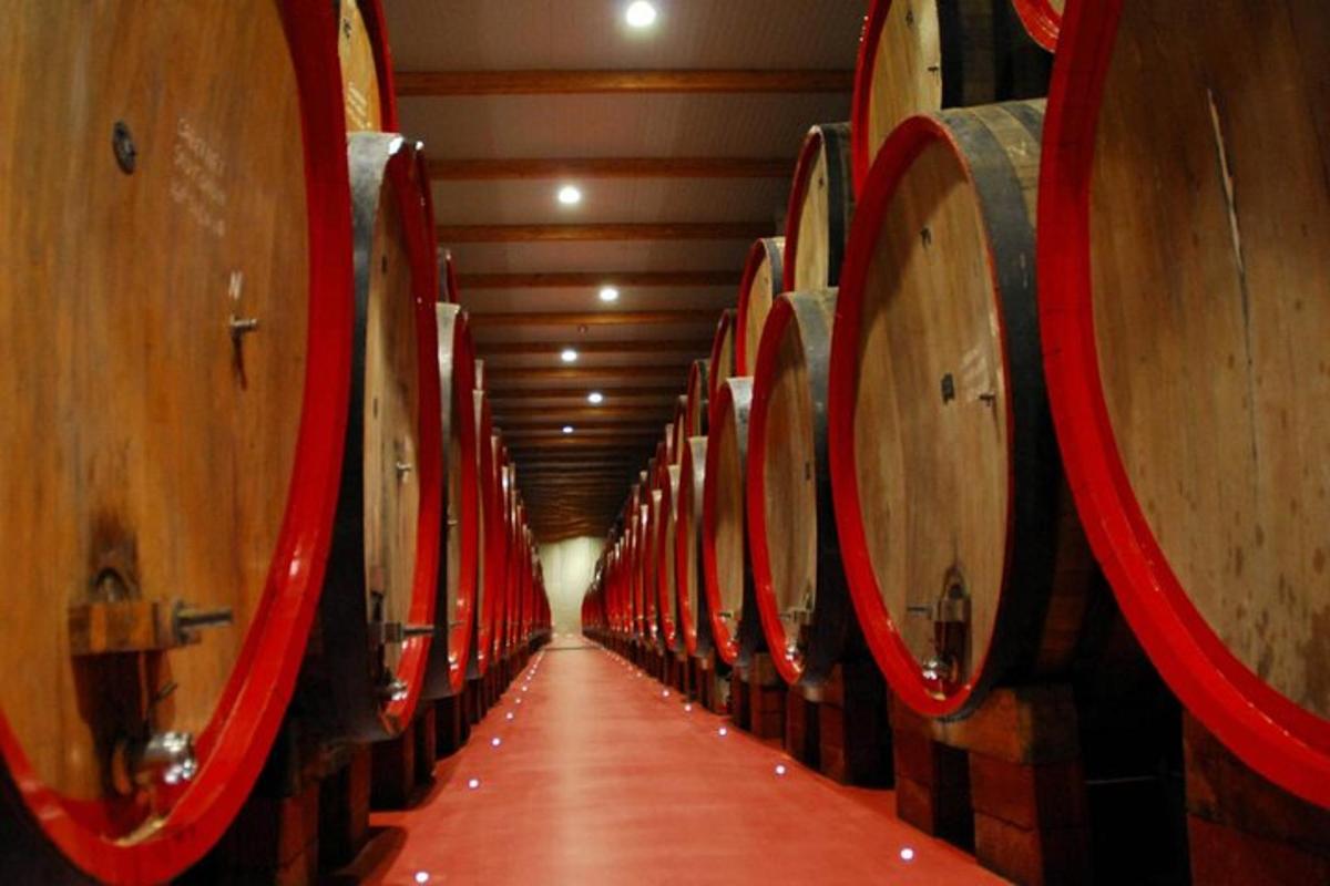 uma fileira de barris de vinho em uma adega
