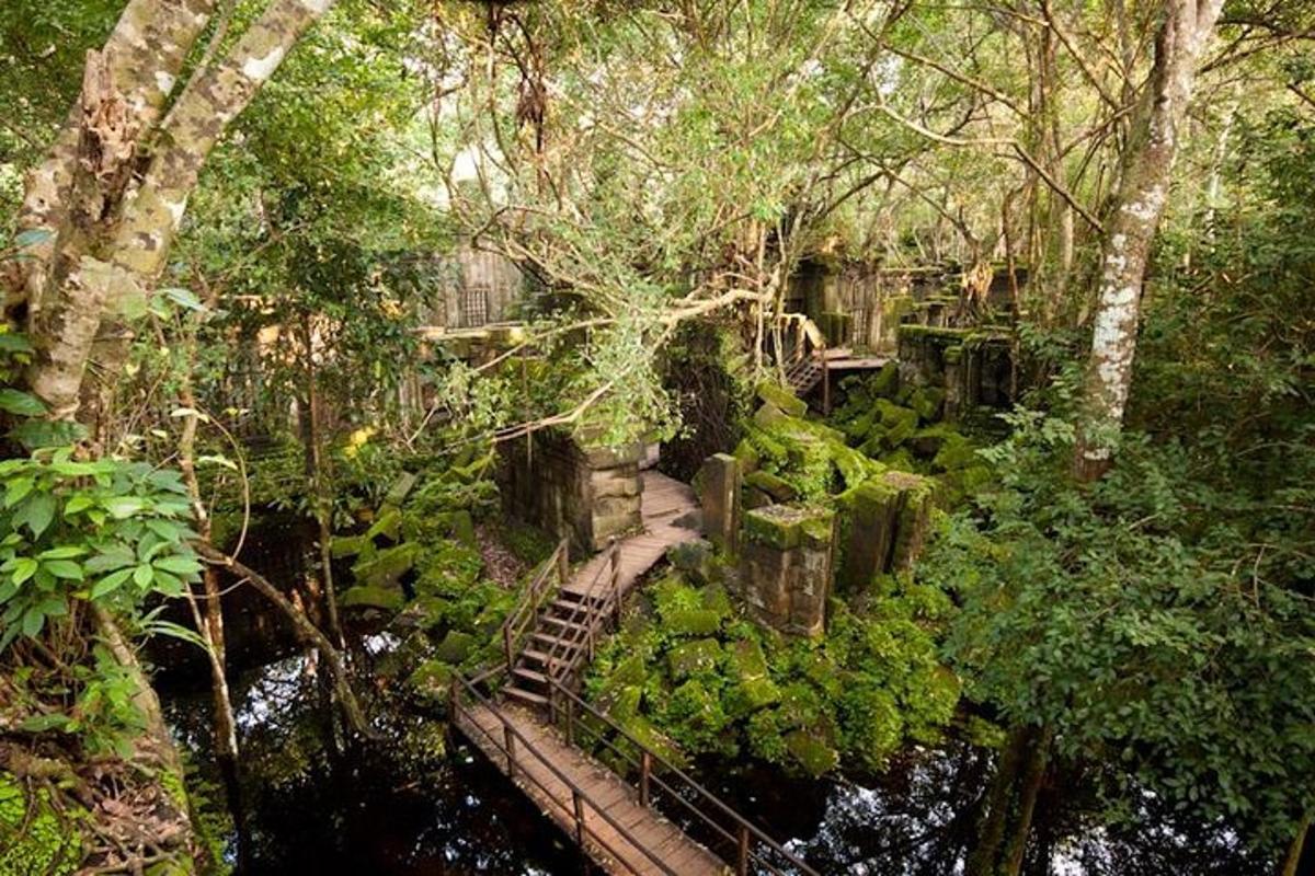 una scala in un giardino con alberi e acqua