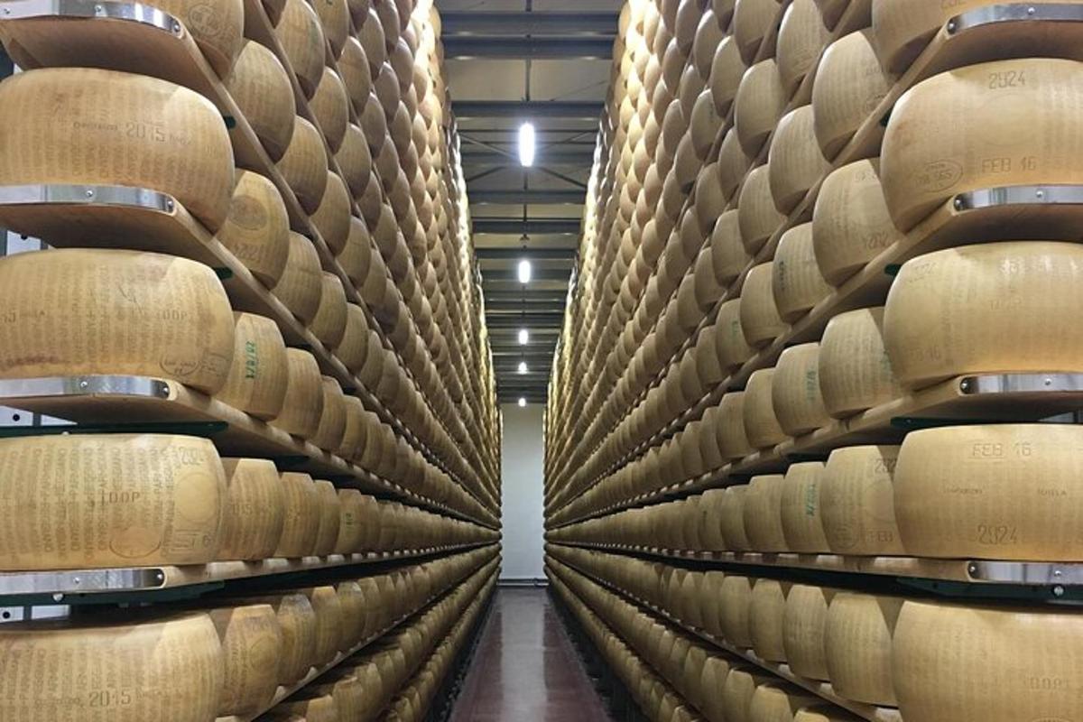 uma sala cheia de prateleiras cheias de barris de vinho