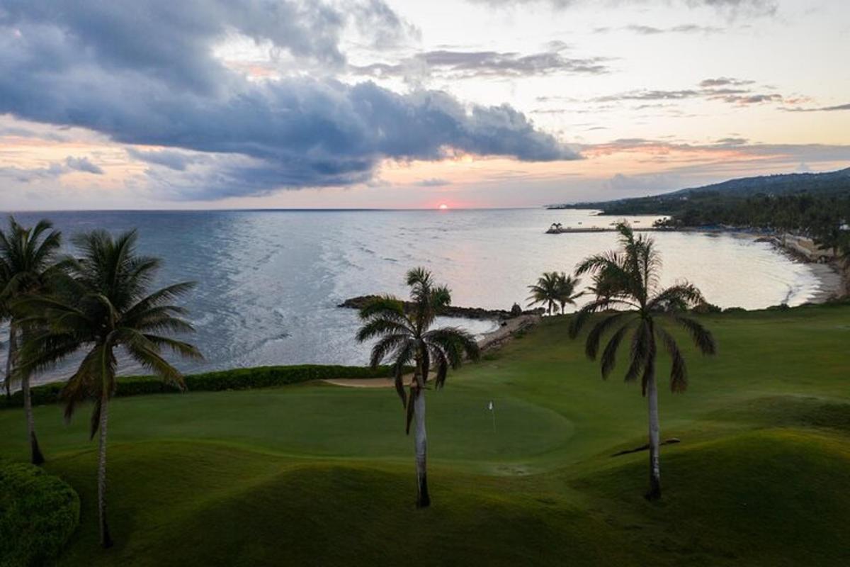 a view of a golf course with palm trees and the ocean