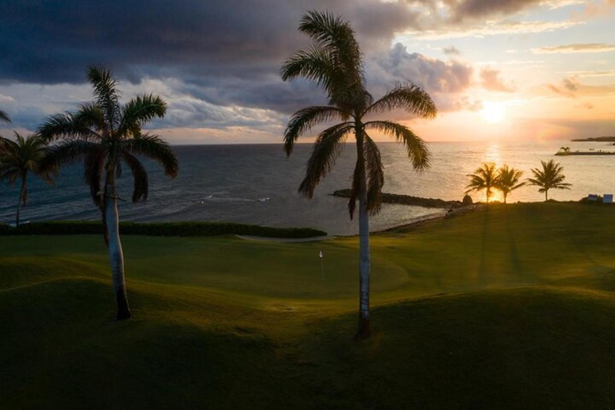 two palm trees on a golf course near the ocean