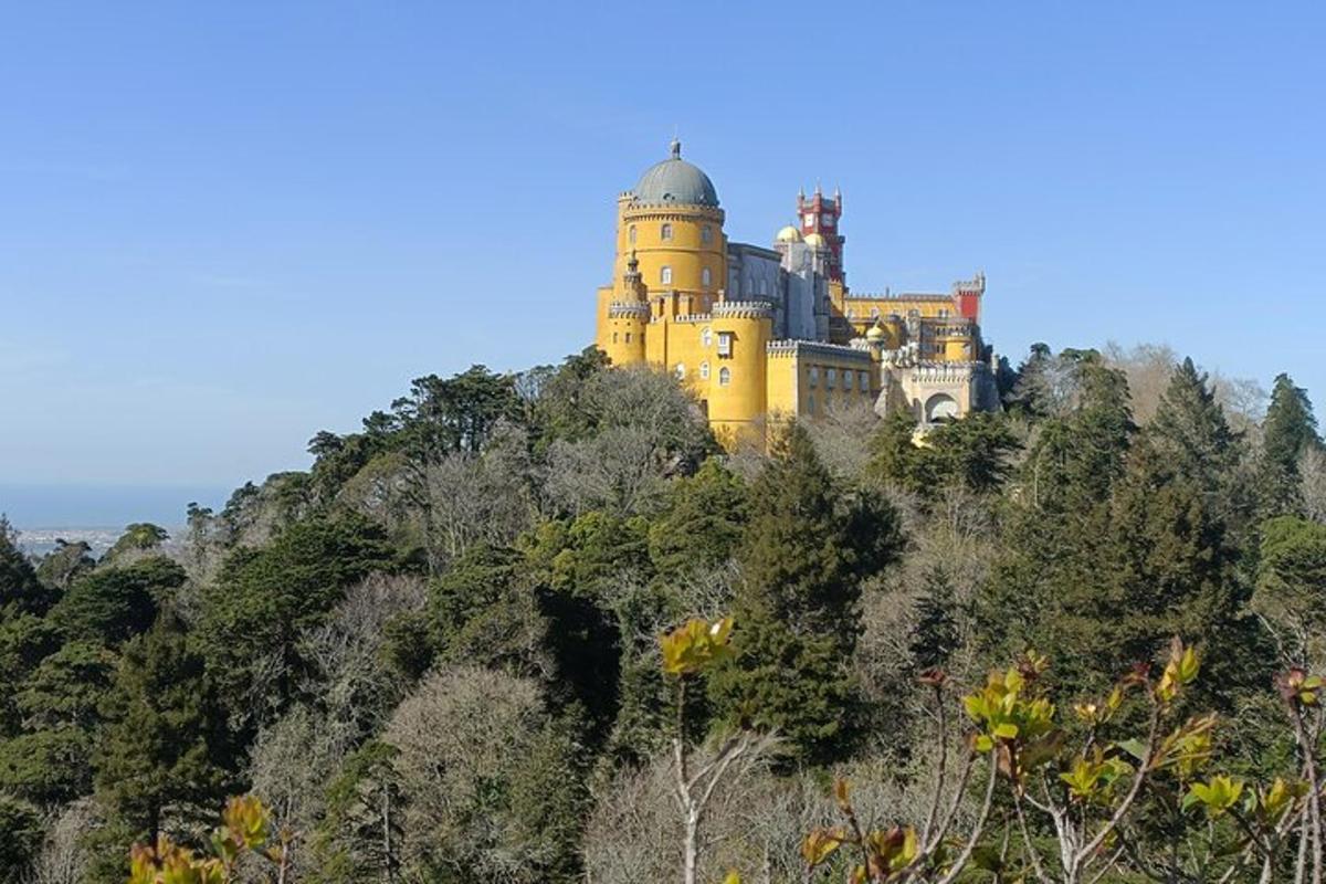 un castello in cima a una collina con alberi