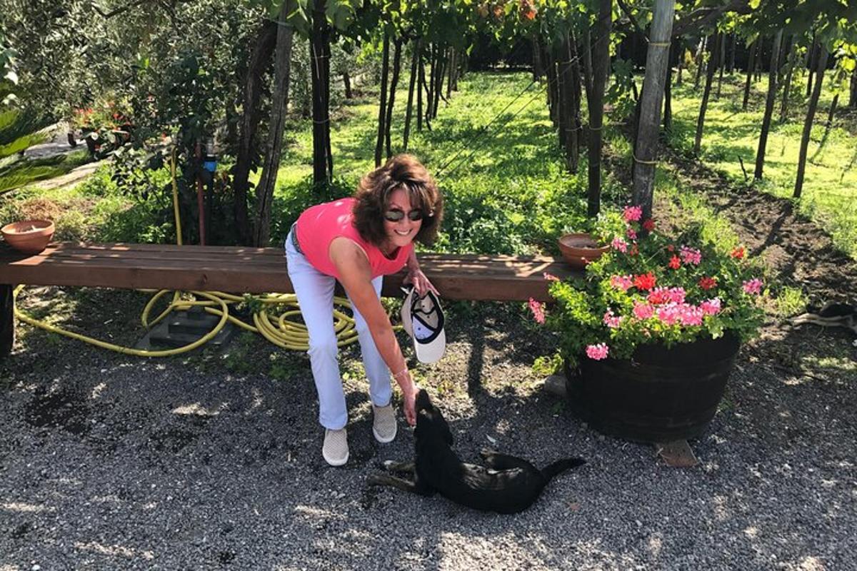 Una mujer acariciando a un gato negro debajo de un banco