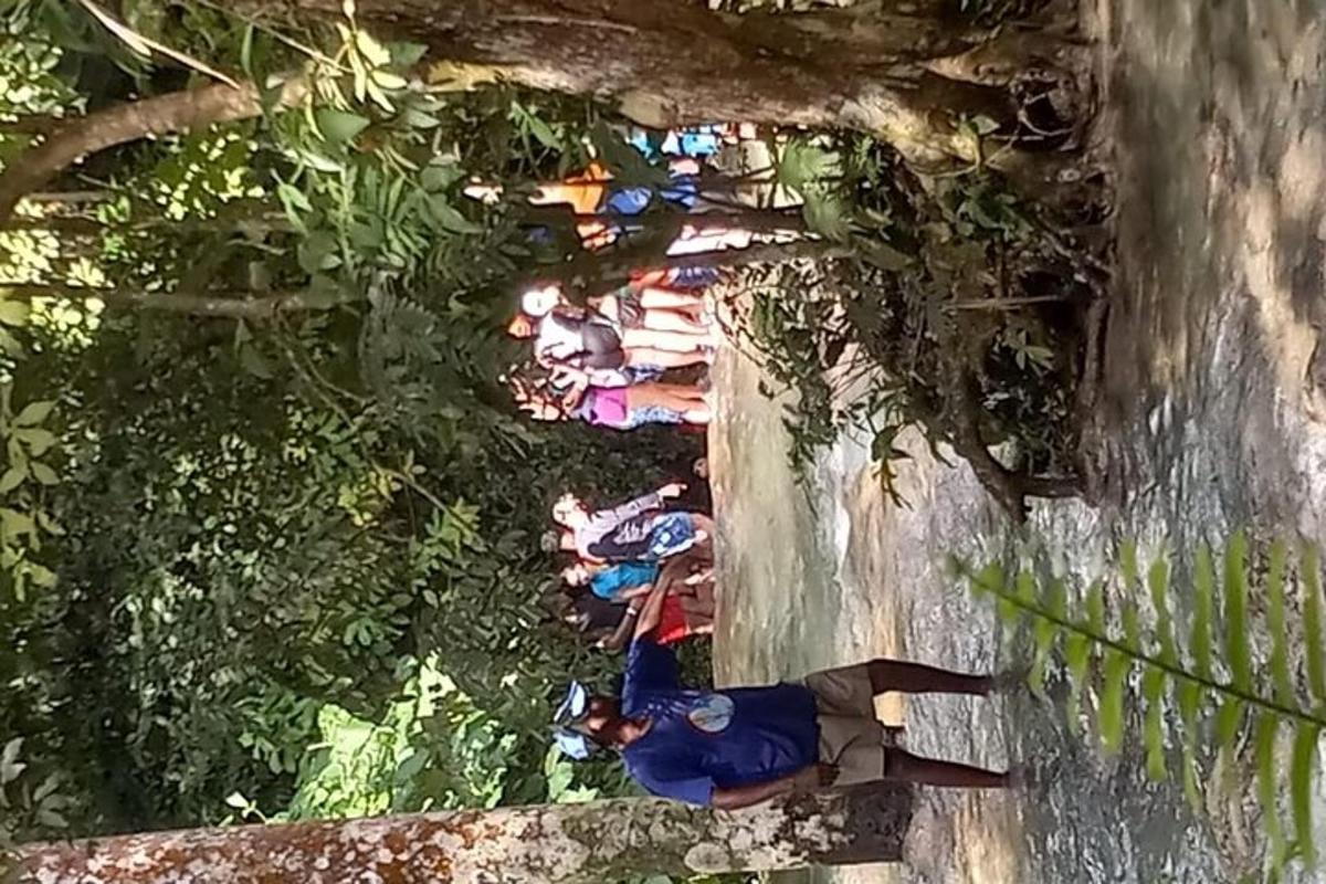 Un grupo de personas están nadando en el agua