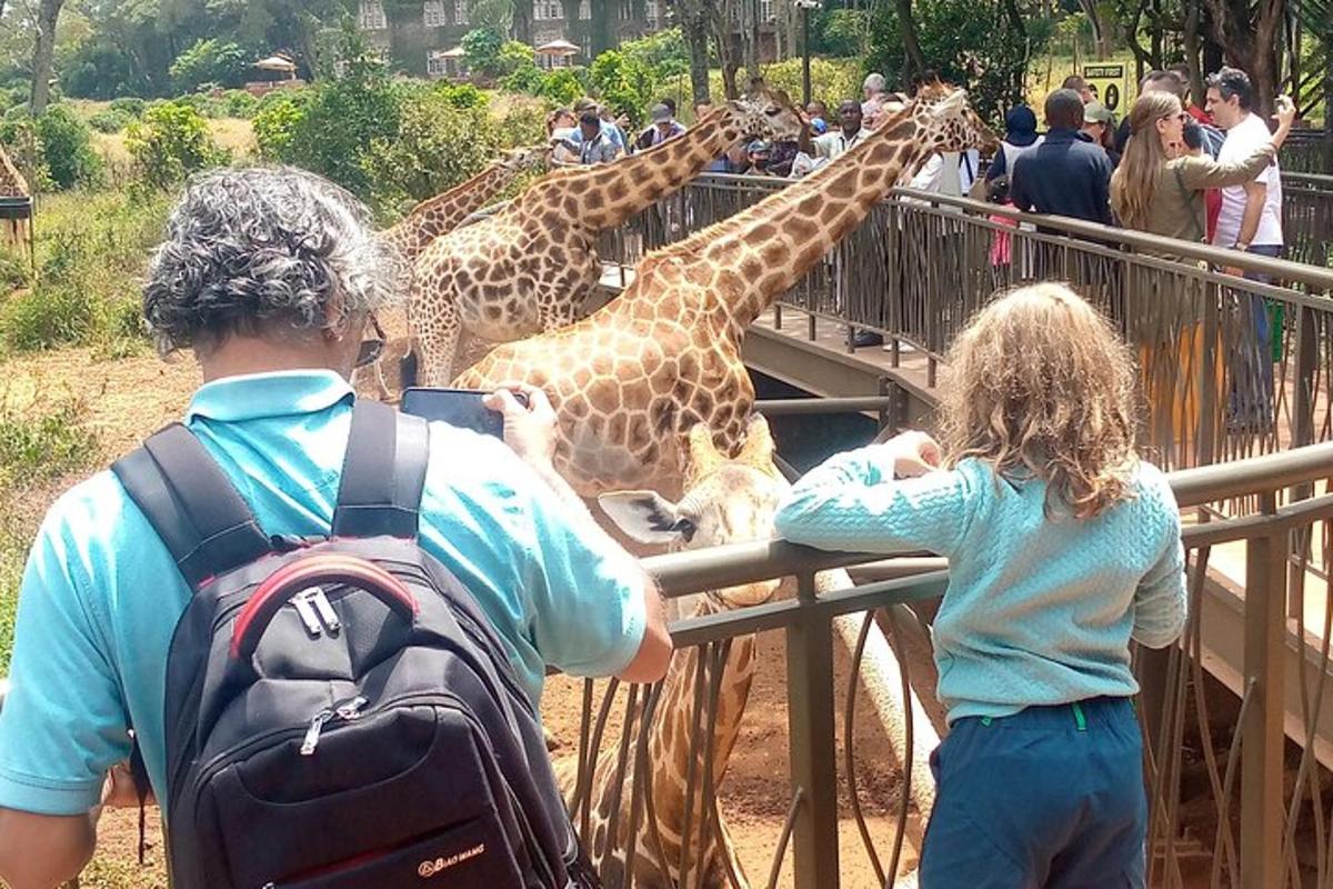 skupina lidí pozorujících žirafy v zoo