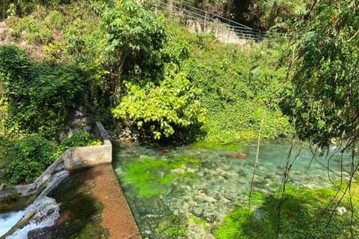 pemandangan udara sungai dengan rumput dan pepohonan