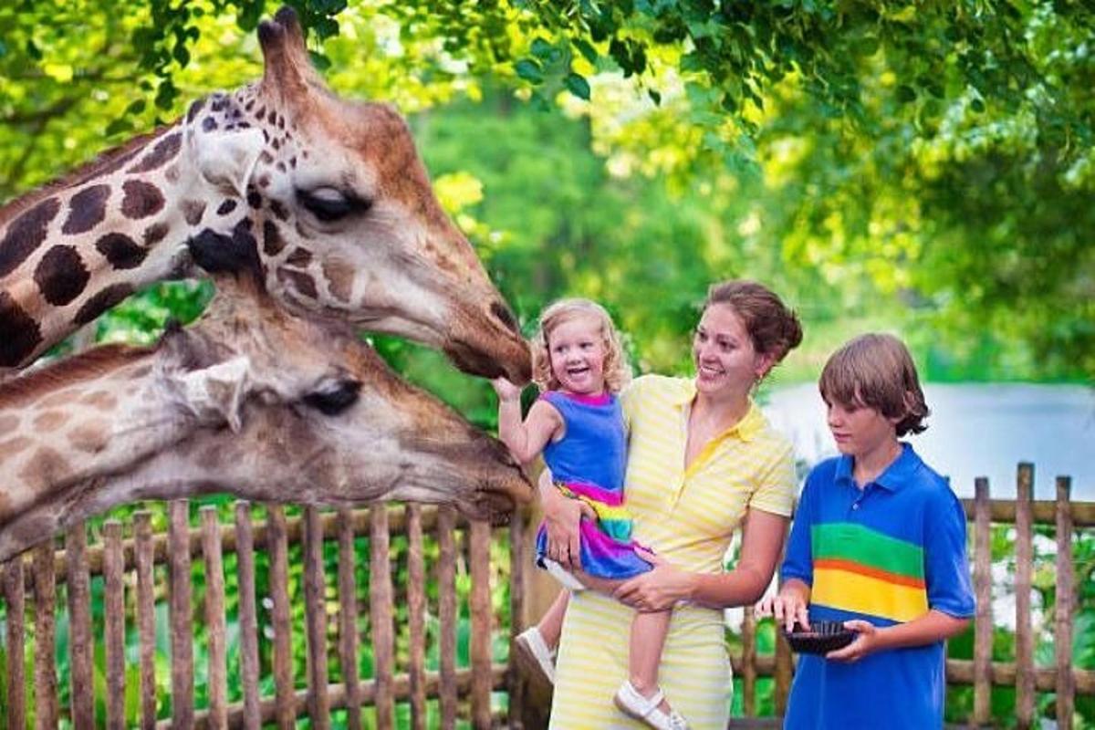 una donna che tiene in braccio una bambina che allatta una giraffa