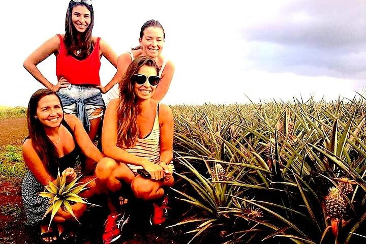 un gruppo di quattro ragazze sedute in un campo