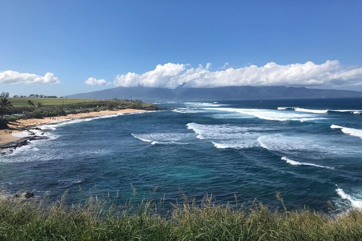 波浪起伏的水域景观