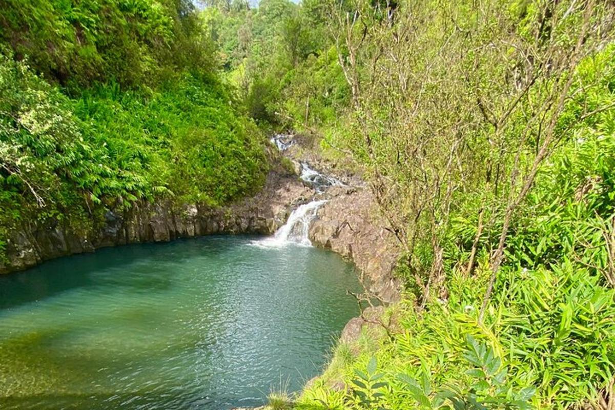 un fiume con una cascata in mezzo a una foresta