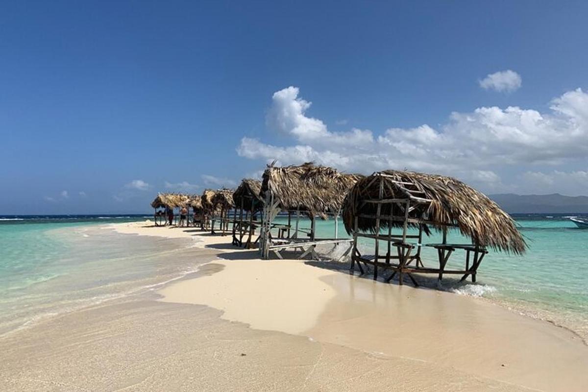 a beach with some straw umbrellas and the ocean