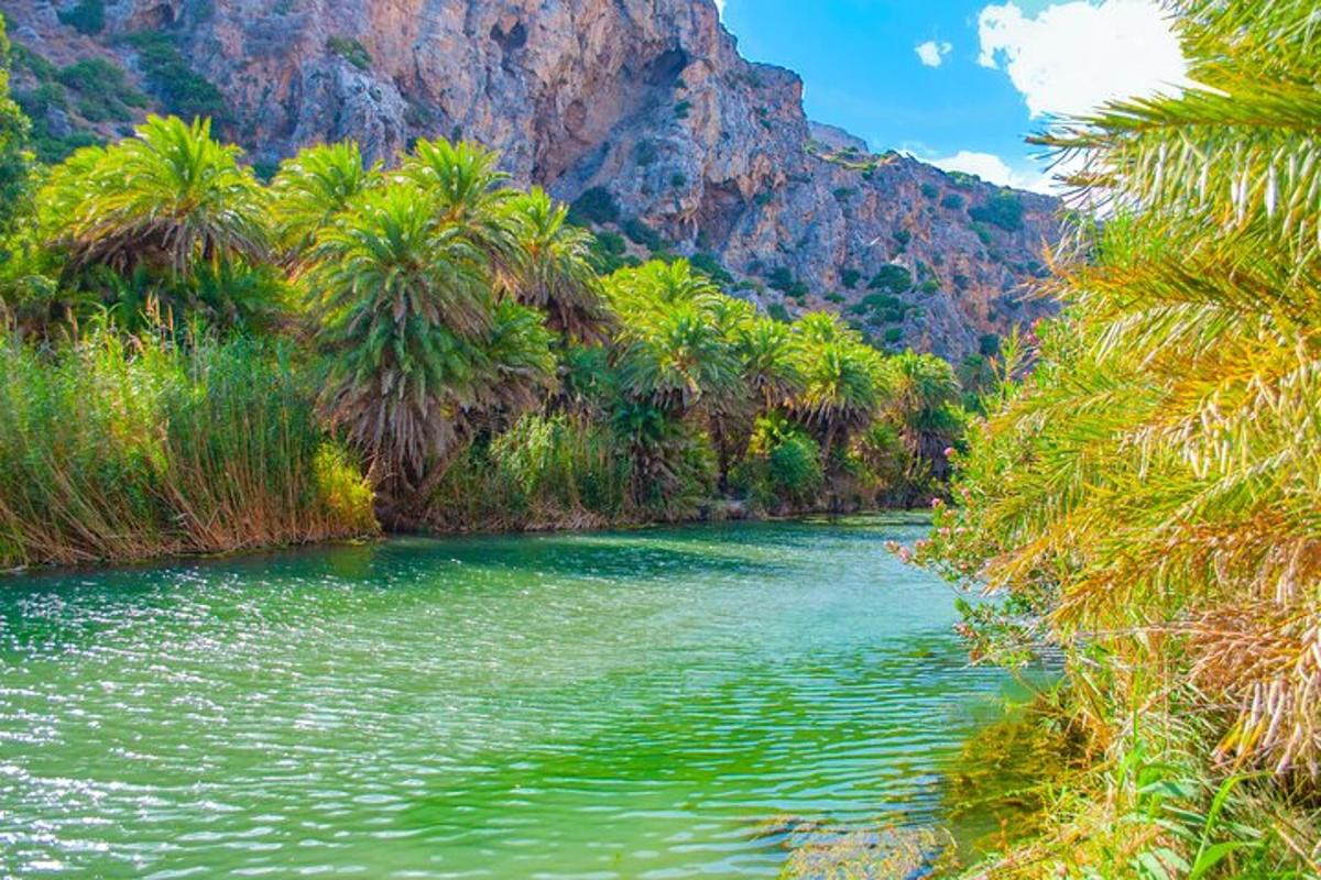 Lankytinos vietos ar pramogos nuotrauka numeris 7