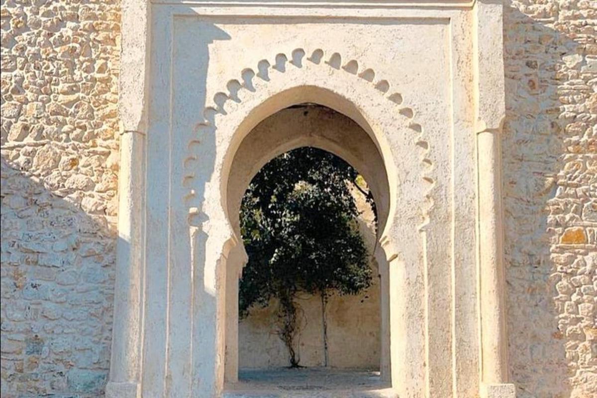 Un edificio con un arco con un árbol dentro.