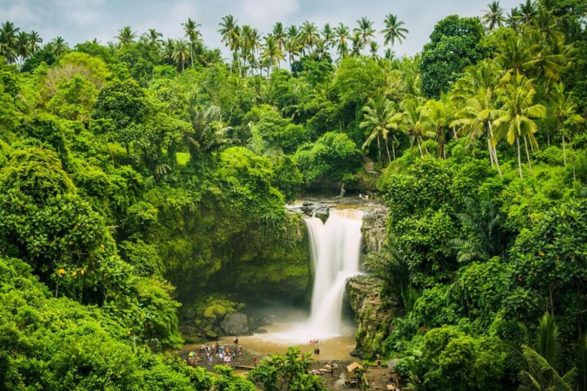 Attraction picture 7