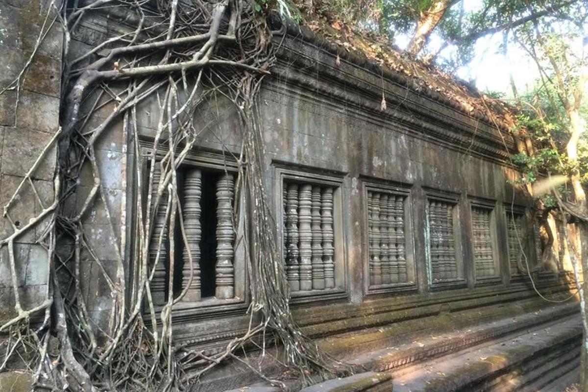 Un edificio con raíces de árboles creciendo a un lado.
