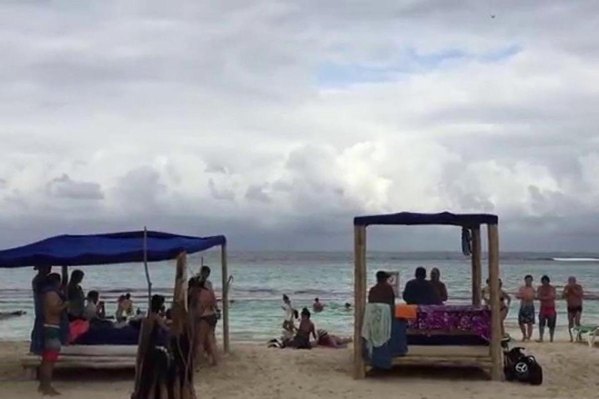 un grup de persones assegudes a la platja