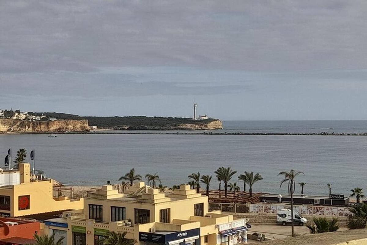 θέα στον ωκεανό και μια παραλία με σπίτια
