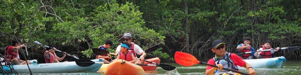 a group of people in kayaks on a river