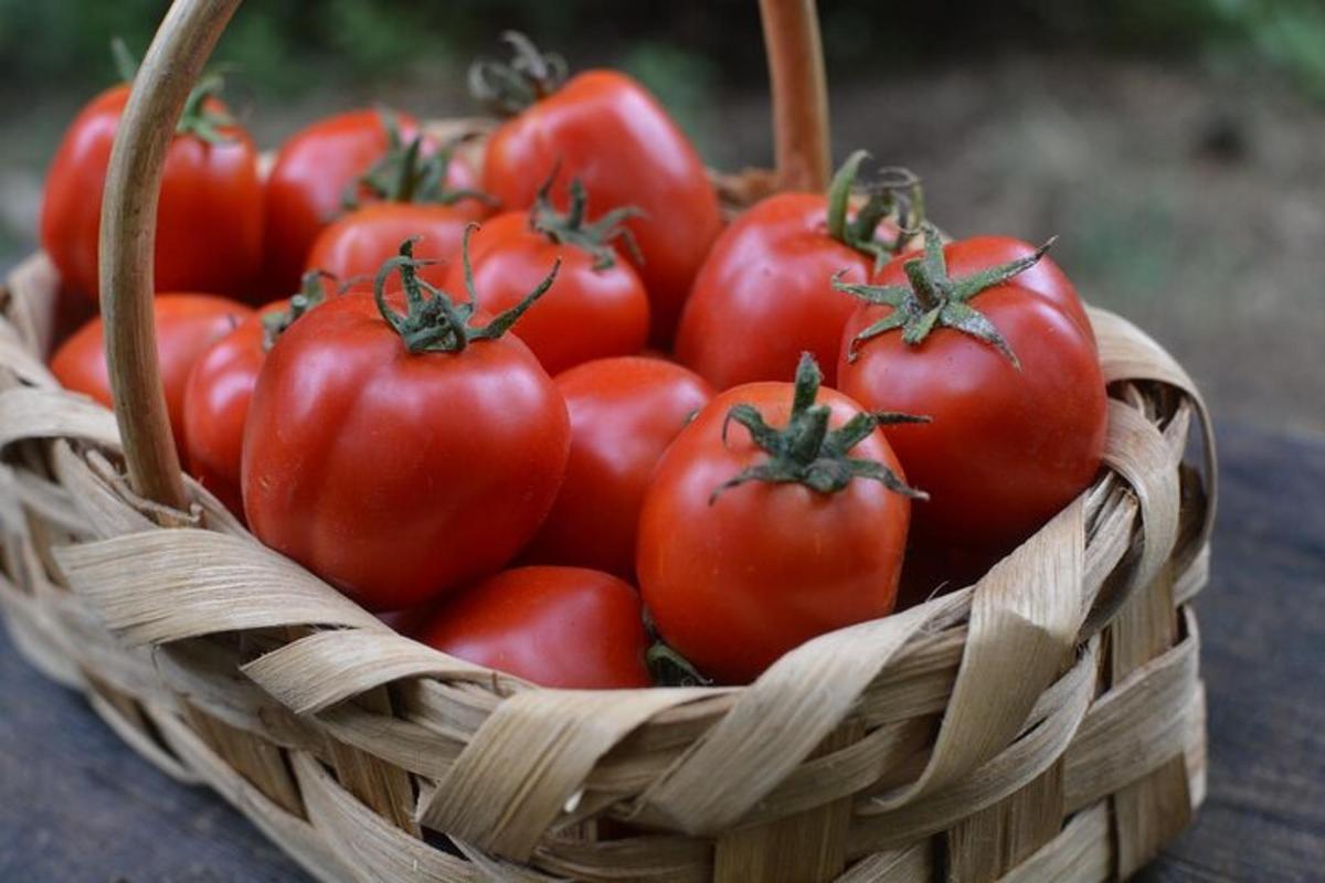 uma cesta de tomates sobre uma mesa