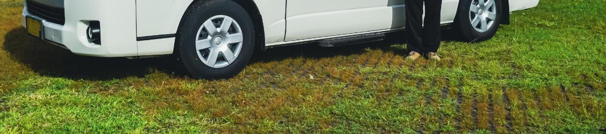 bílé auto zaparkované na travnatém poli