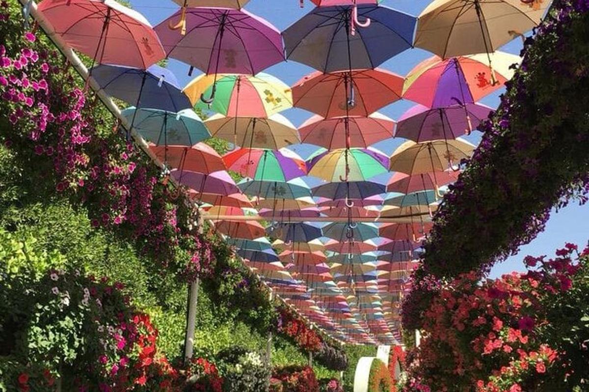 Fotografia 6 a atracției