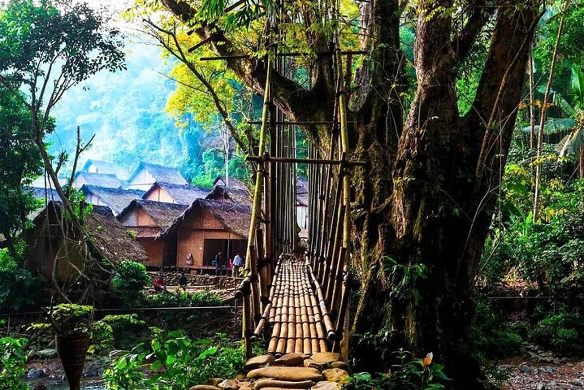 a bridge in a forest with a tree