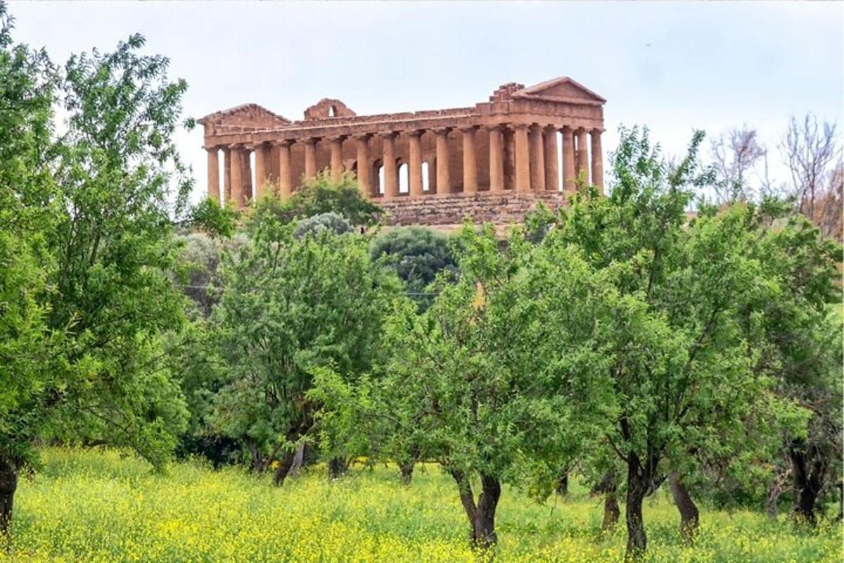un edificio sullo sfondo con alberi in primo piano