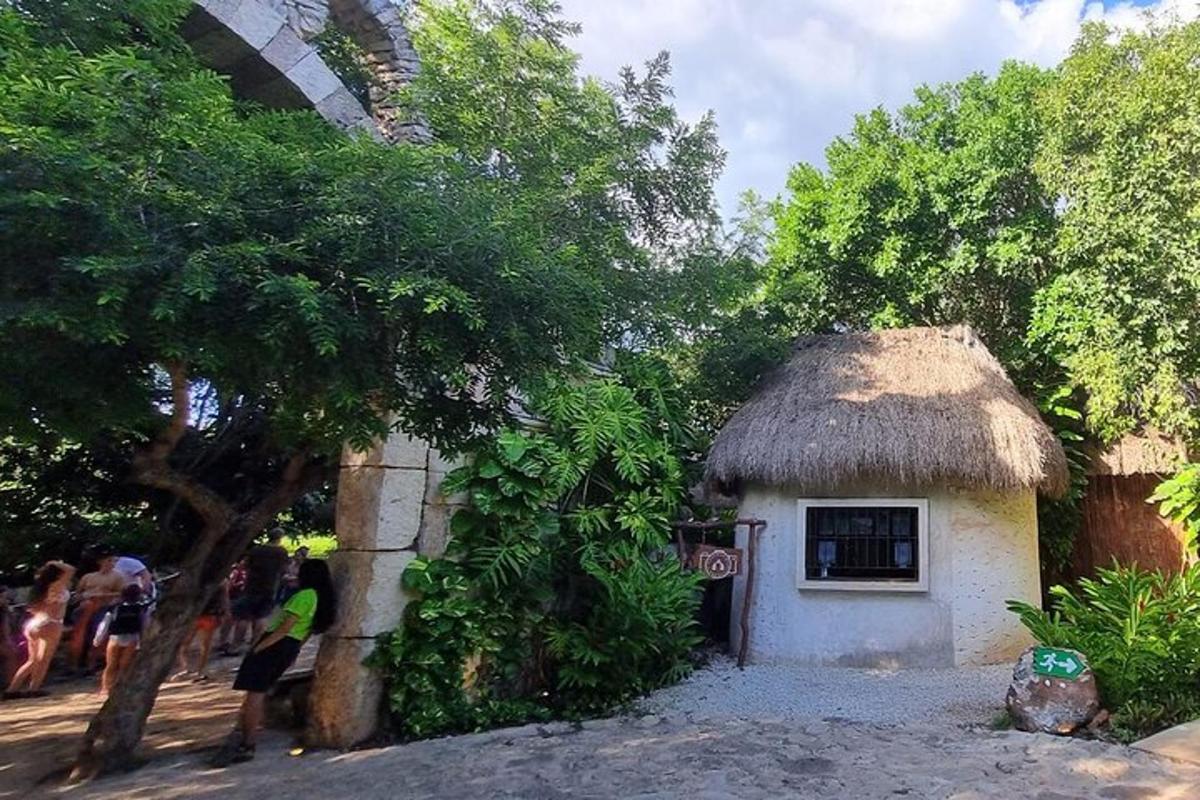 una piccola casa con il tetto di paglia accanto a un albero